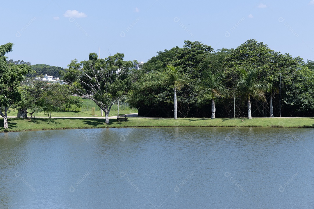 Lagoa de um parque com muitas árvores.