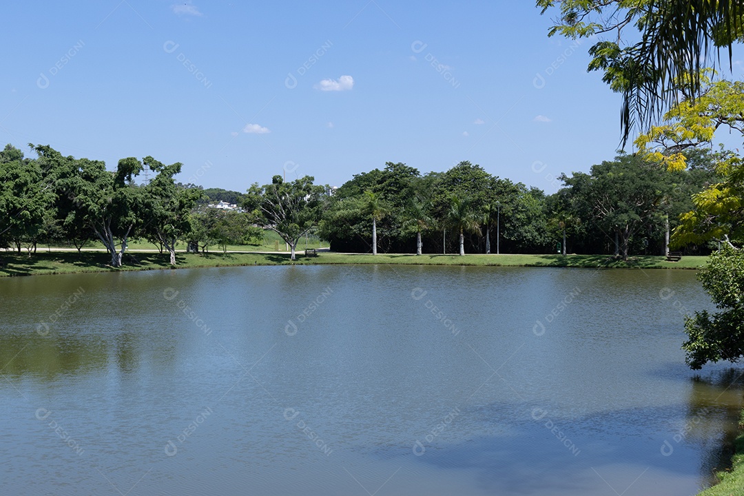 Lagoa com muitas árvores.