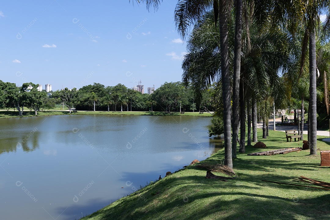 Parque com um lago no meio.