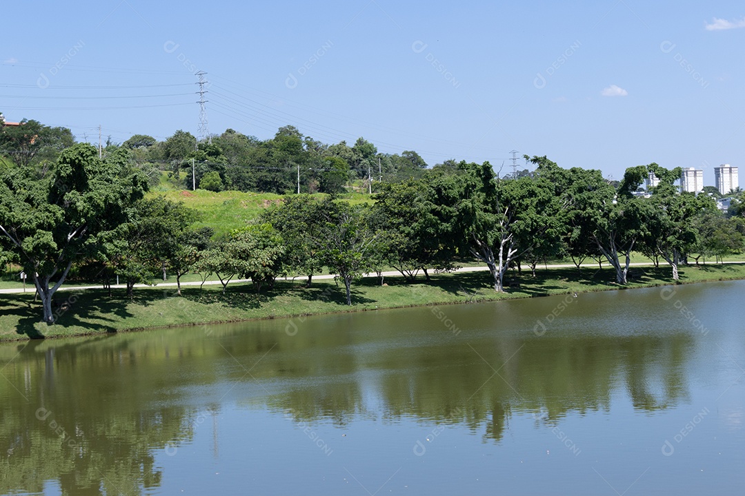 Lagoa de um parque com muitas árvores.