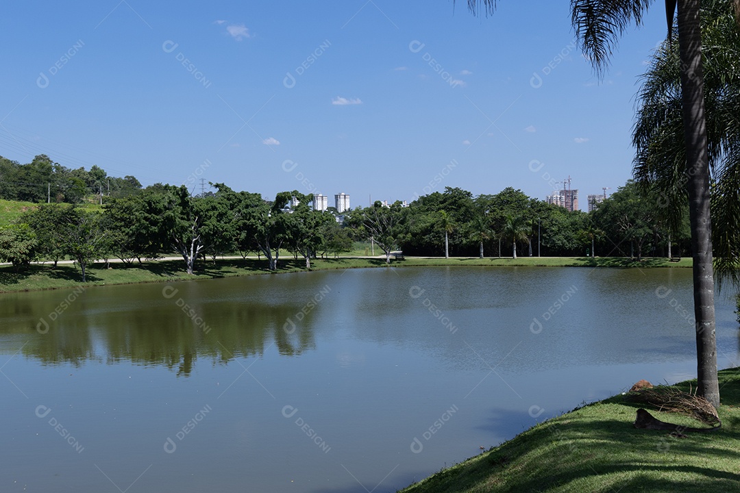 Lagoa com muita vegetação ao lado.