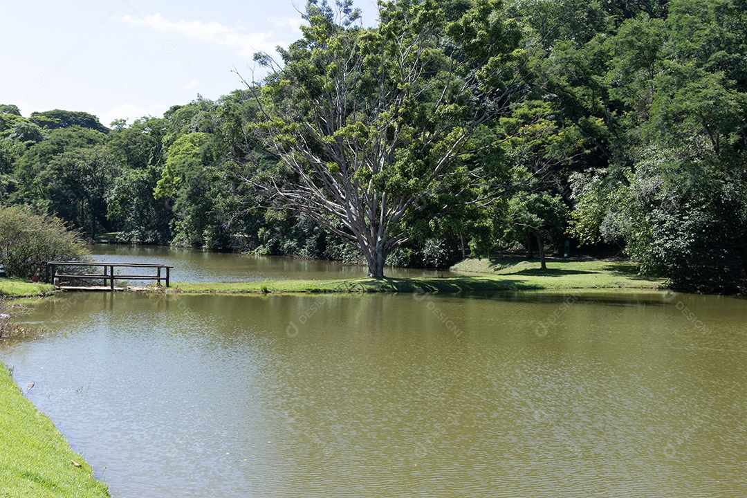 Lagoa de um parque com muitas árvores.