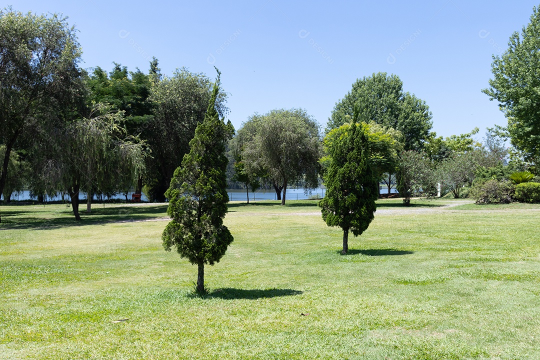 Linda vista de árvore na natureza.