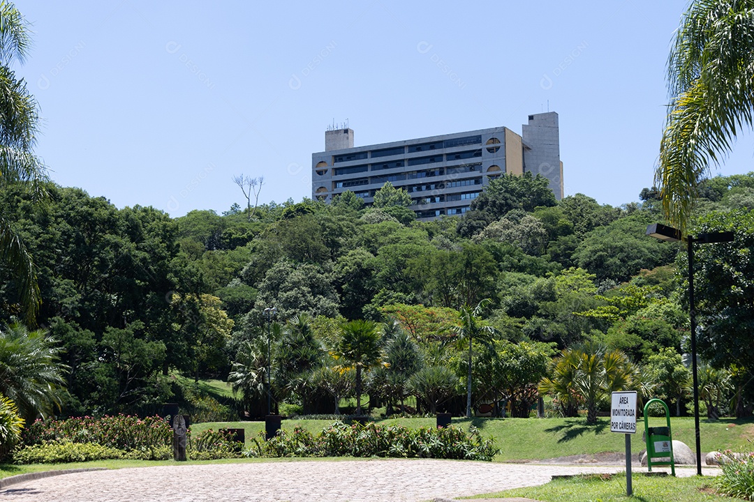 Muitas árvores com vista de um prédios atrás.