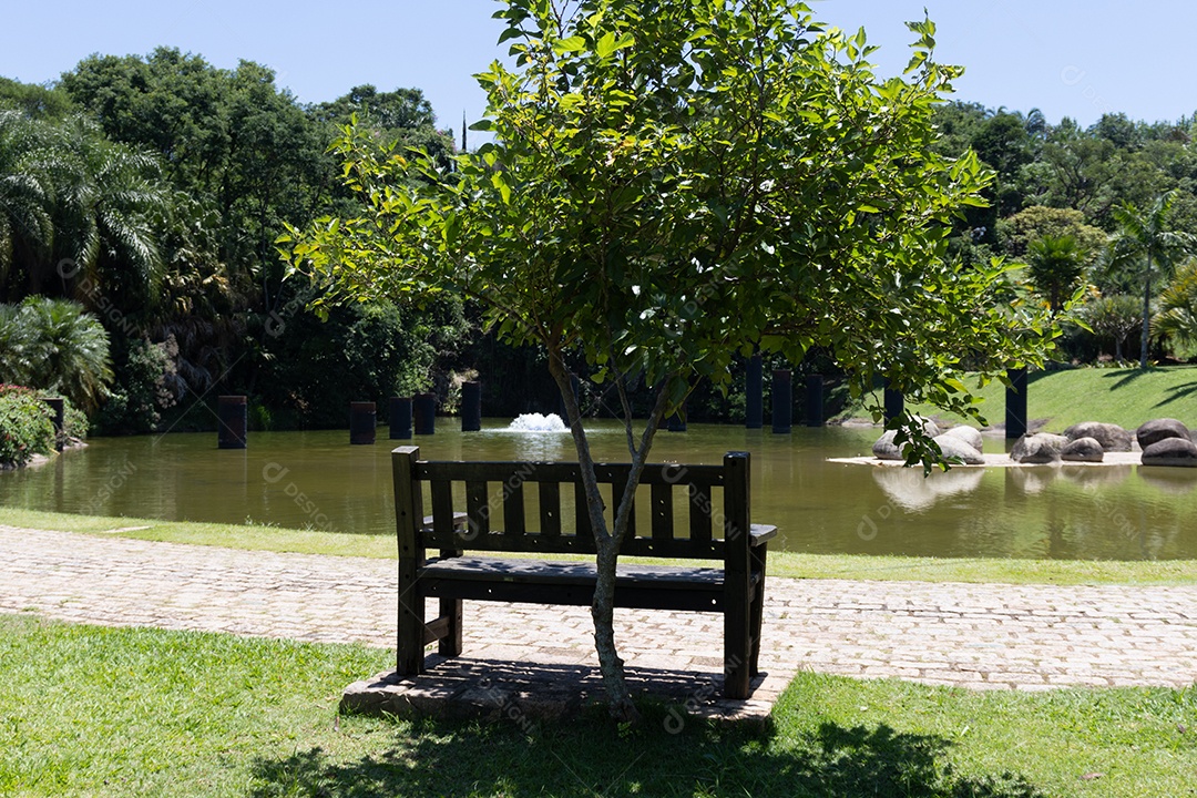 Banco de praça enfrente para o lago.