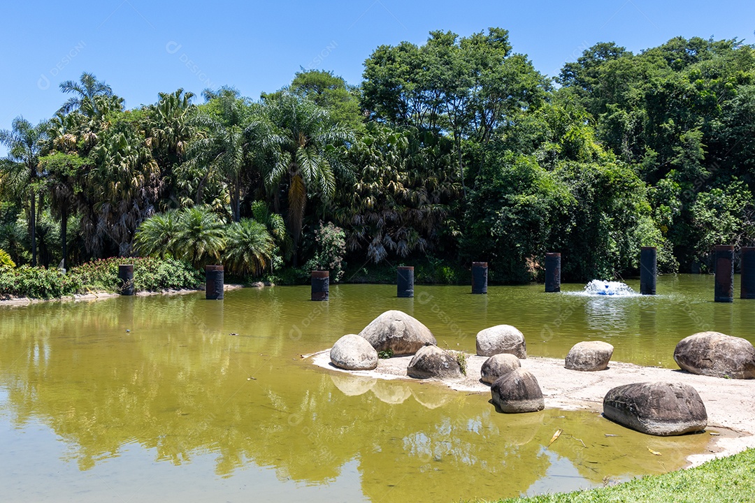 Lagoa de um praça linda natural.