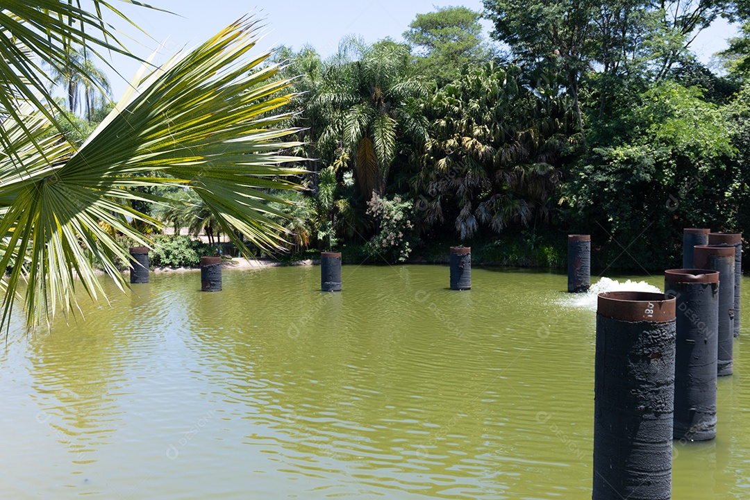 Lagoa de um parque com muitas árvores ao redor.