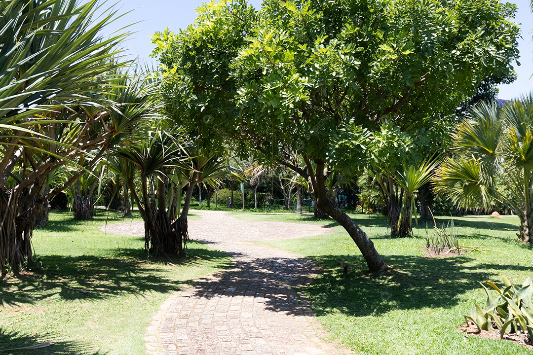 Caminho de uma praça com muita vegetação.