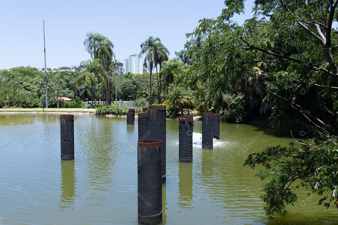 Lagoa de um parque com muitas árvores ao redor.