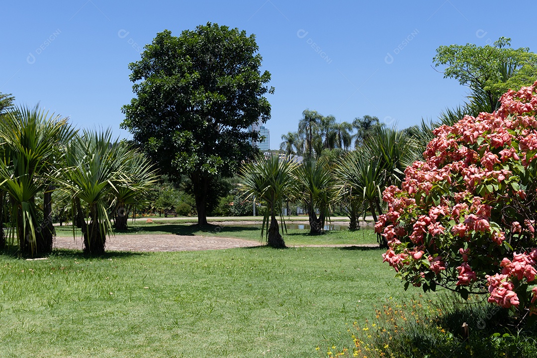 Praça com muitas árvores e plantas.