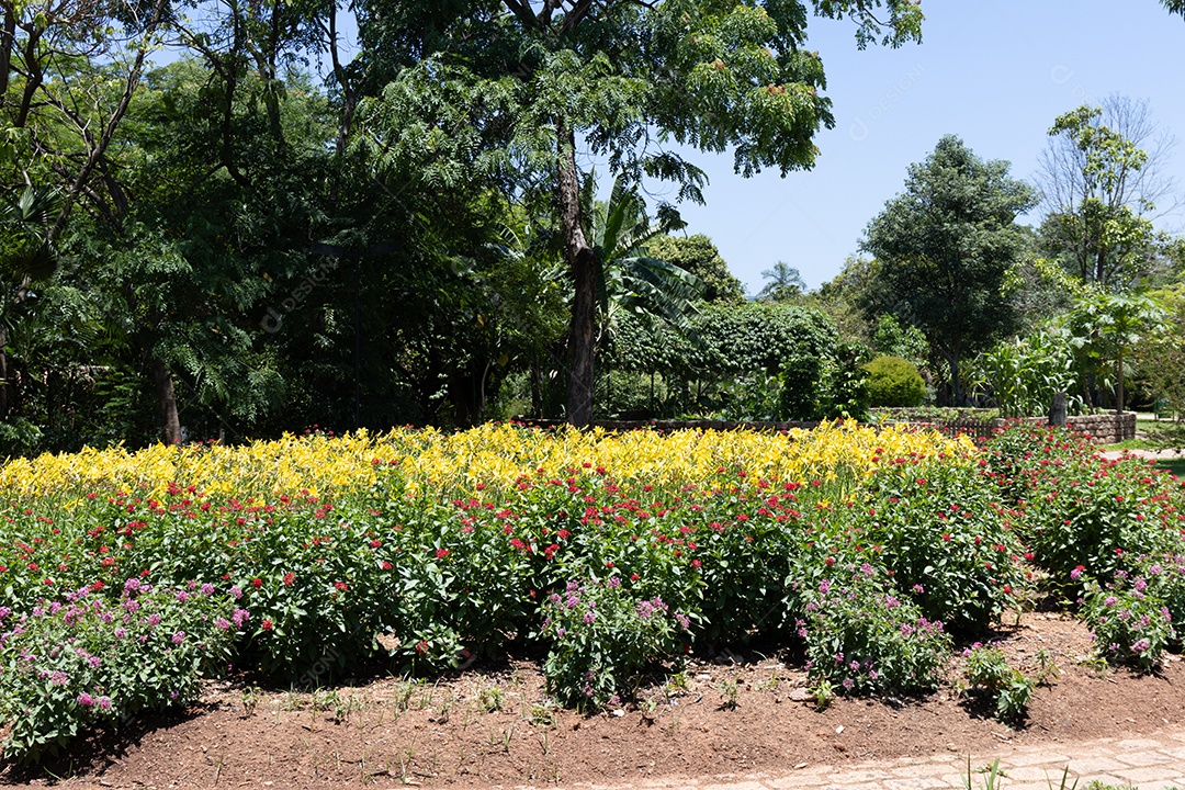 Lindo jardim na praça de uma cidade.