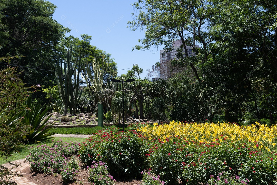 Jardim lindo na praça.