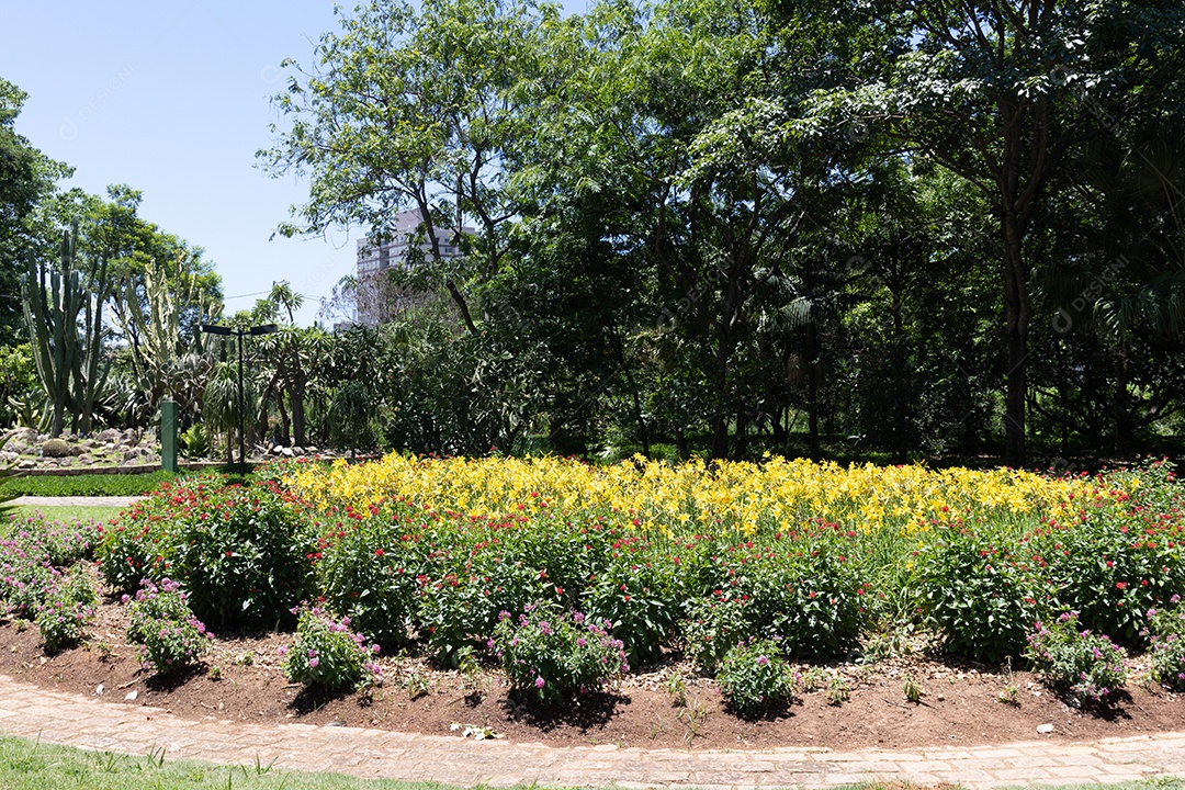 Jardim de uma praça linda.