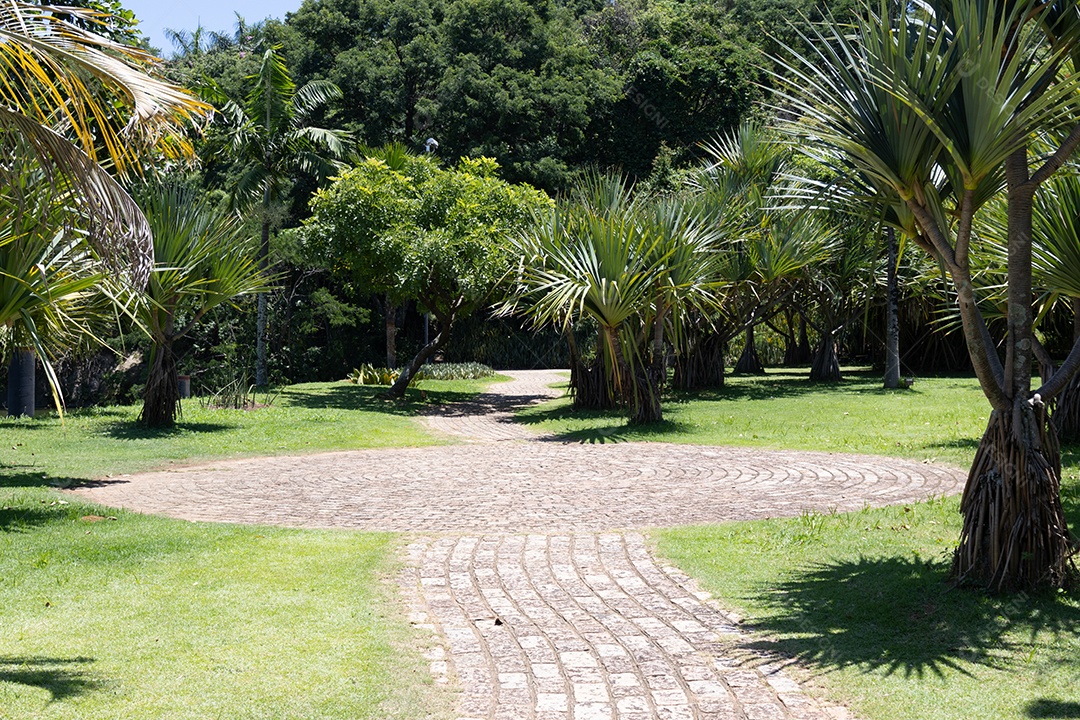 Lindas árvores e palmeiras na praça.