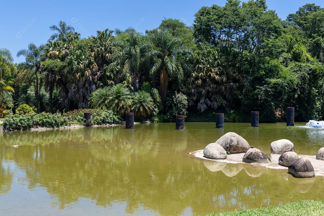 Lagoa de um parque com muitas árvores.