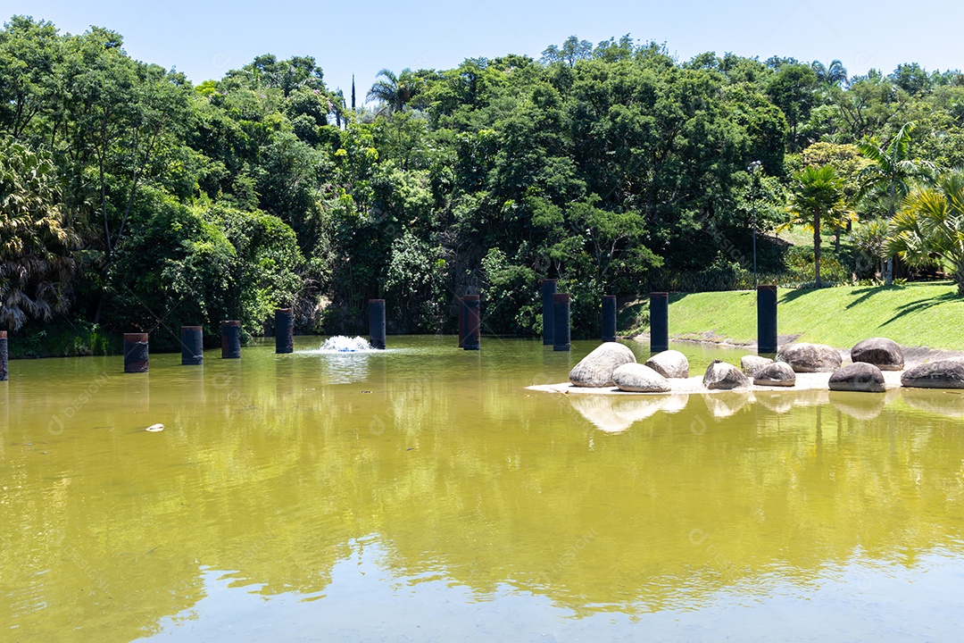 Lagoa de um parque.