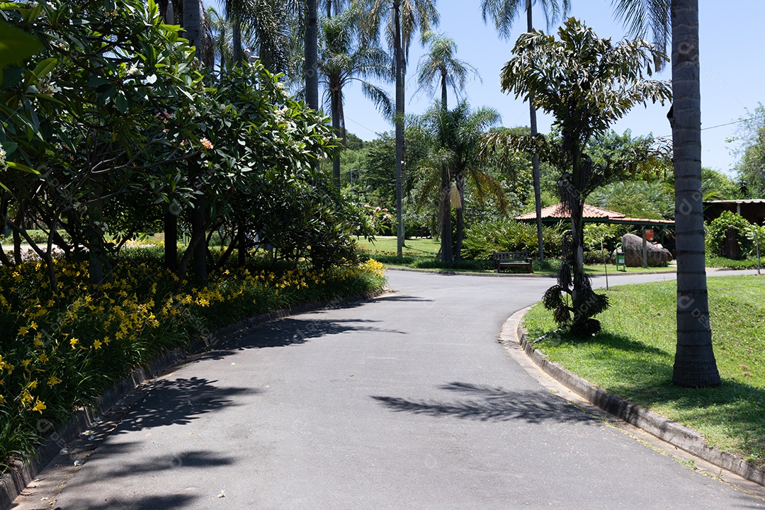 Caminho de um praça cheia de árvores.