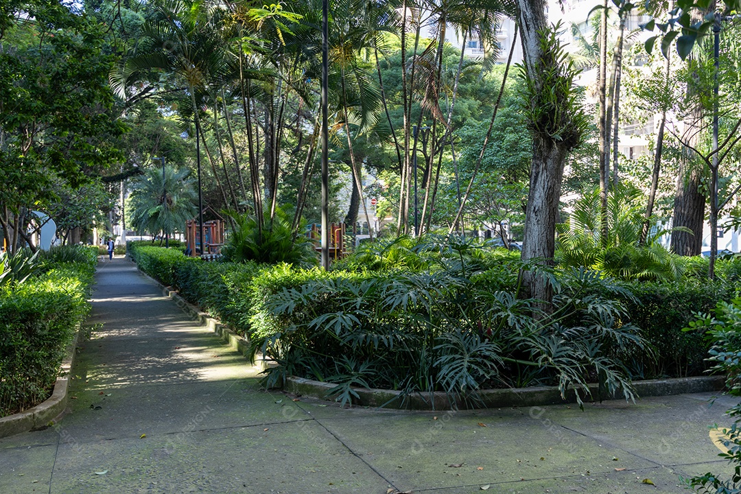 Jardim de uma praaça linda.