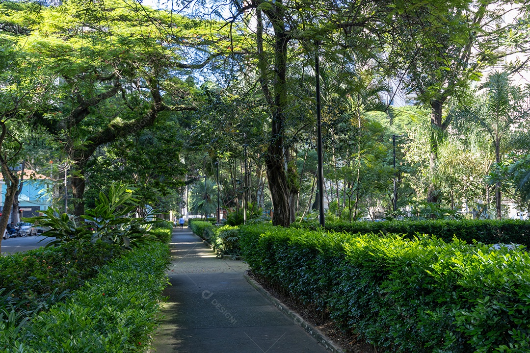 Calçada bem arejada com árvores.