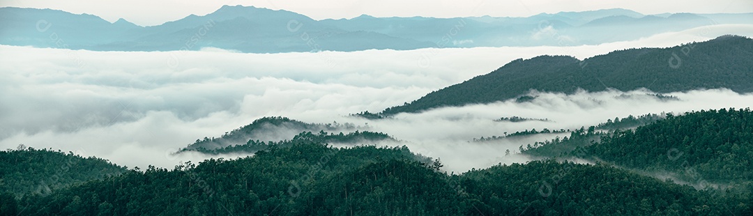 Vista panorâmica da paisagem montanhosa nevoenta. Vista aérea de árvores verdes escuras na floresta montanhosa