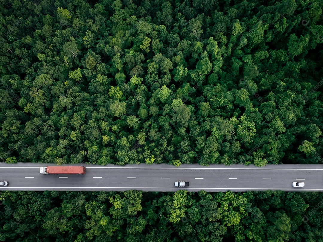 Vista aérea superior de carro e caminhão dirigindo na rodovia em floresta verde