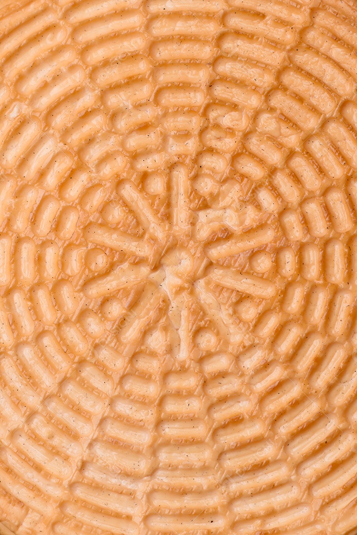 Delicioso queijo artesanal feito de leite de vaca ou cabra sobre um fundo escuro de concreto