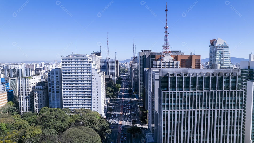 Avenida Paulista São Paulo