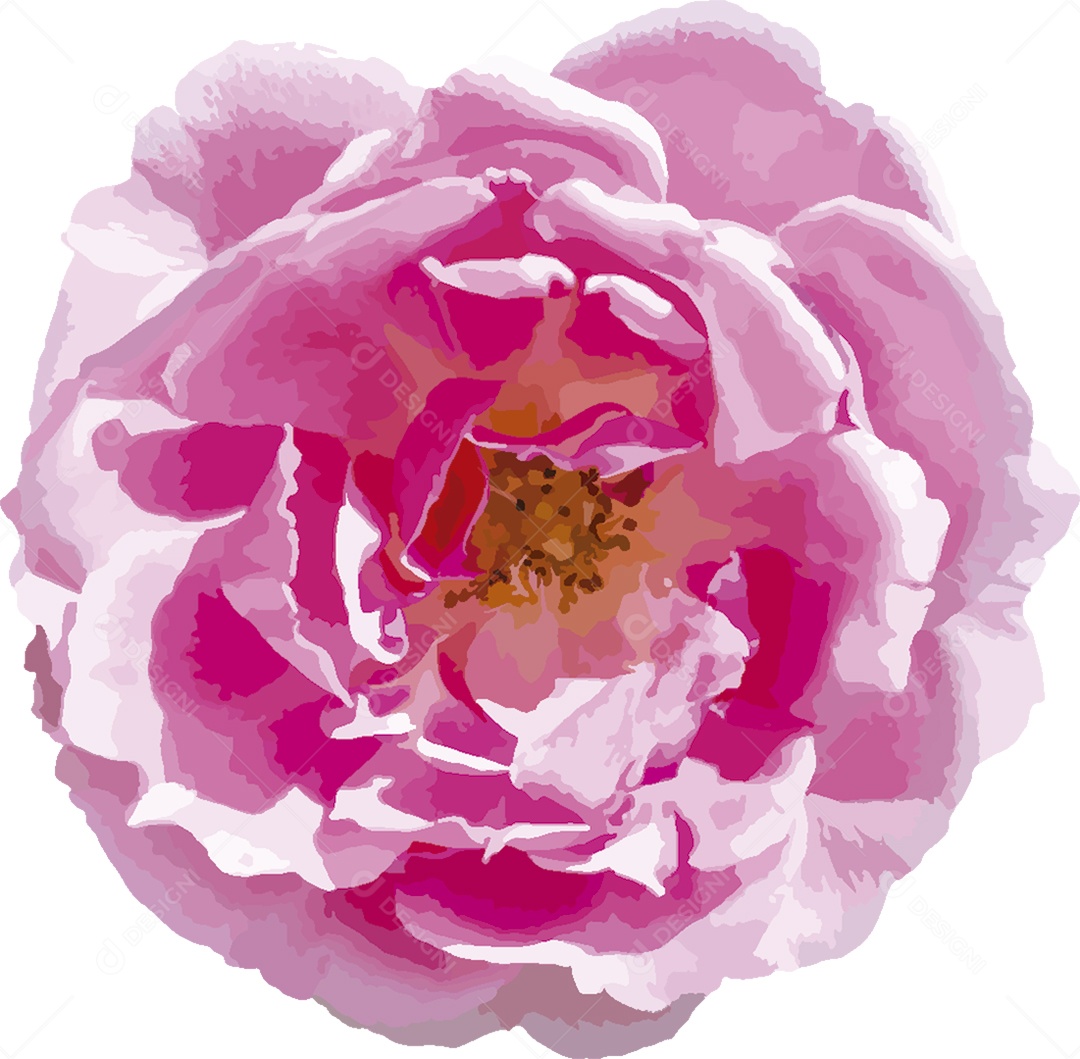 Desenho de uma Flor Ilustração Vetor EPS