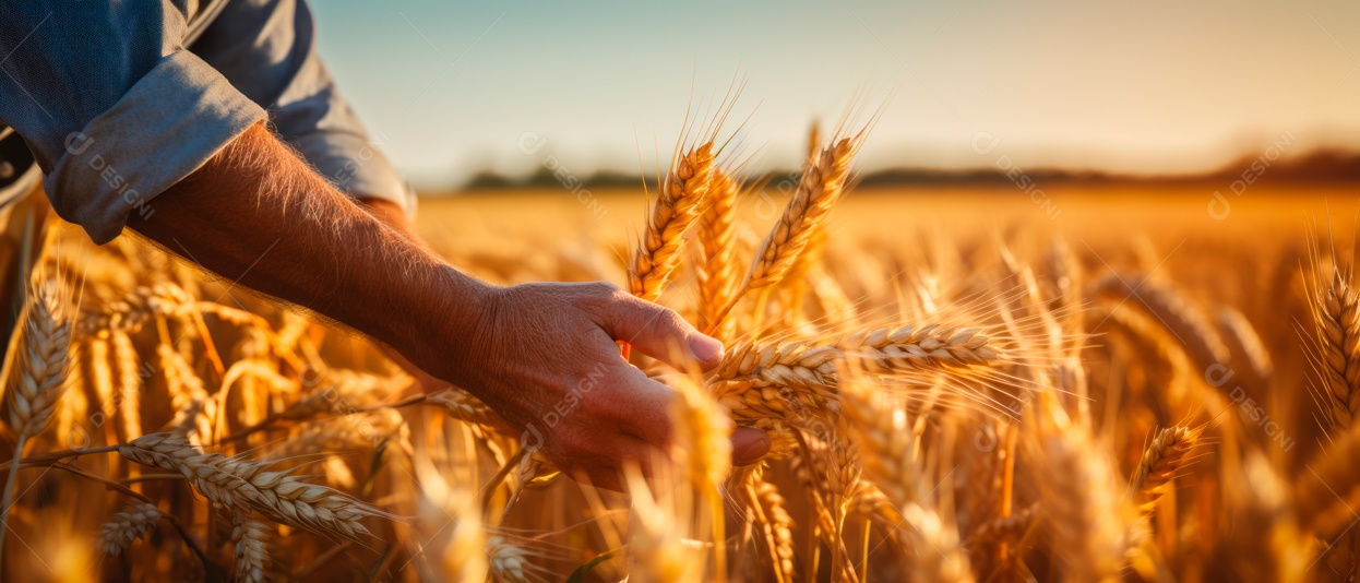 Mãos de pessoas cuidando da colheita de vegetais.