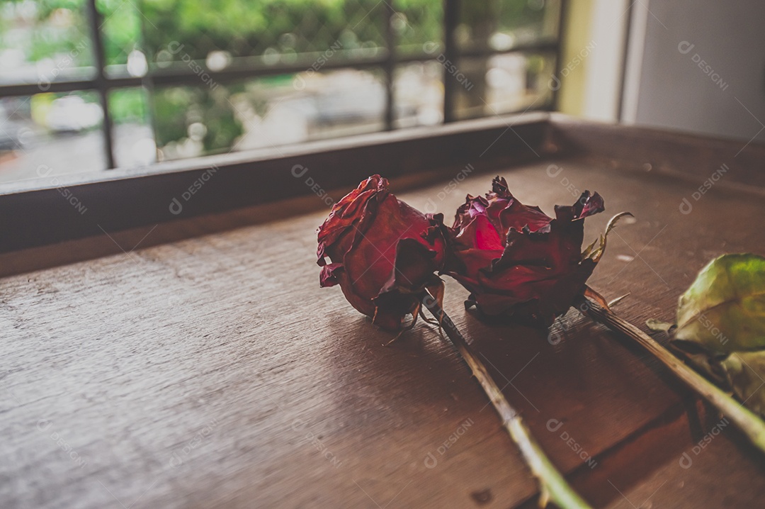 Rosas temáticas dramáticas, rosas murchas e sem vida, natureza morta