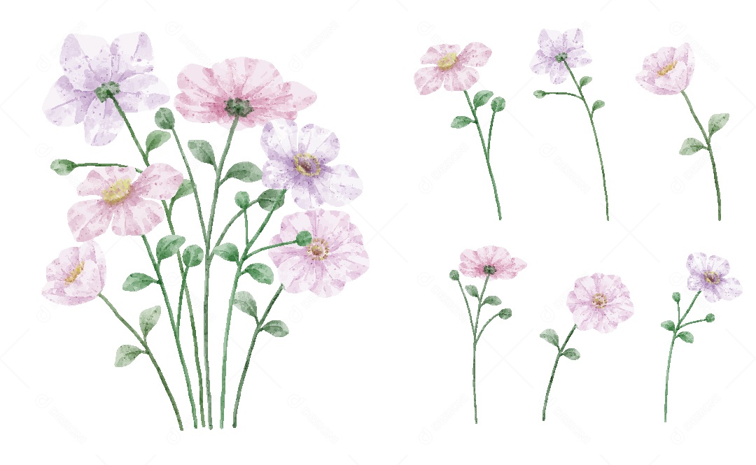 Flores Ilustração em Aquarela Vetor EPS