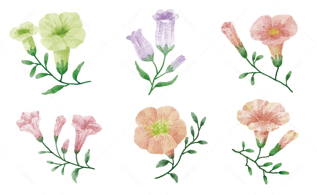 Flores Ilustração em Aquarela Vetor EPS