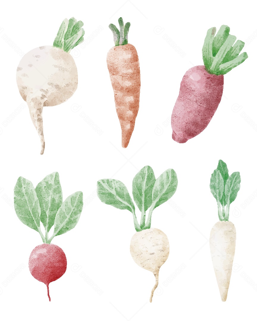 Legumes Ilustração em Aquarela Vetor EPS