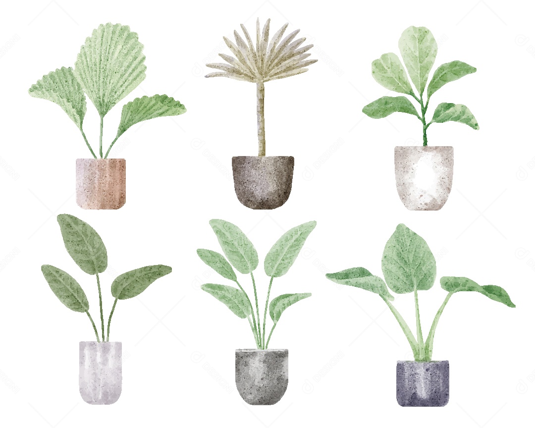 Plantas Ilustração em Aquarela Vetor EPS
