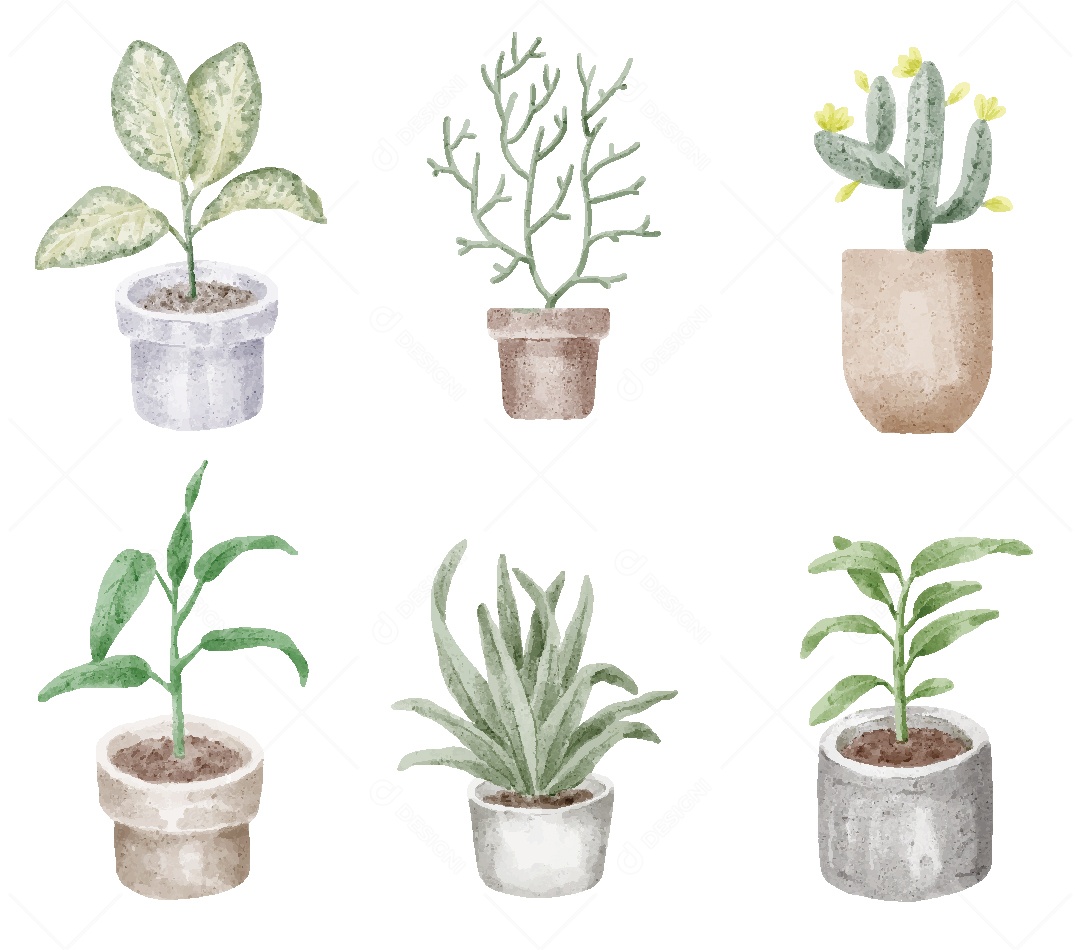 Plantas Ilustração em Aquarela Vetor EPS