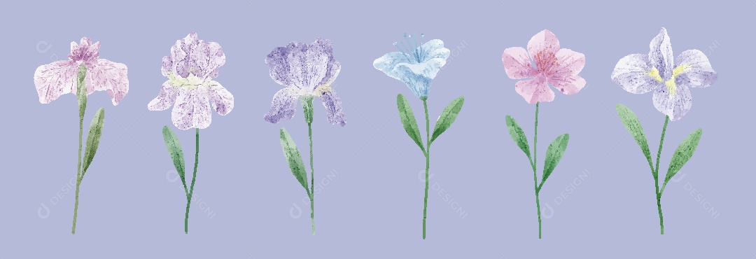 Flores Ilustração em Aquarela Vetor EPS