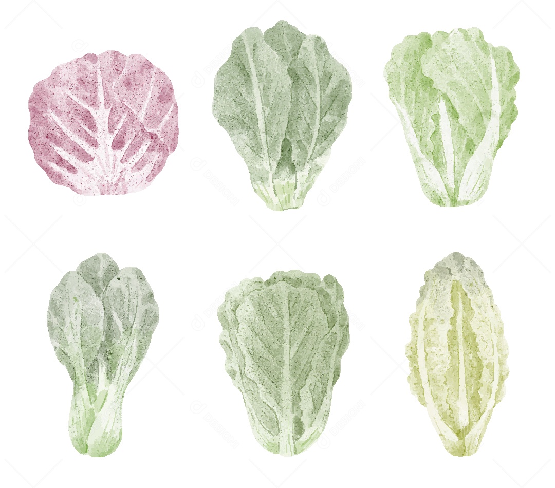 Hortaliças Ilustração em Aquarela Vetor EPS