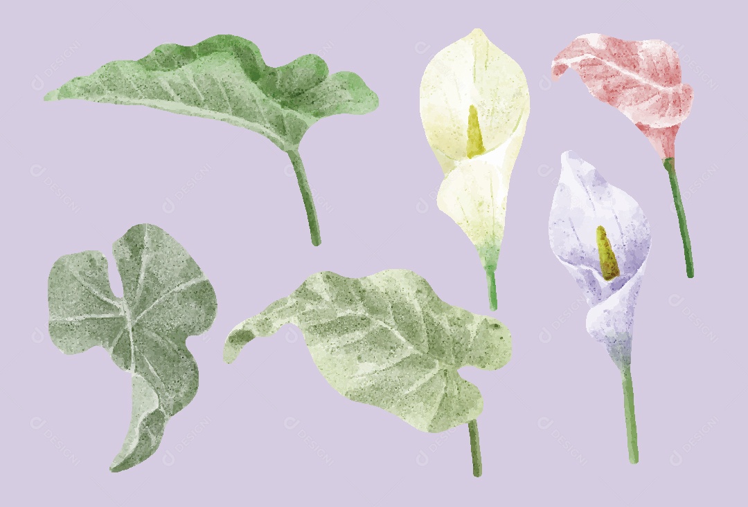 Flores e Folhas Ilustração em Aquarela Vetor EPS