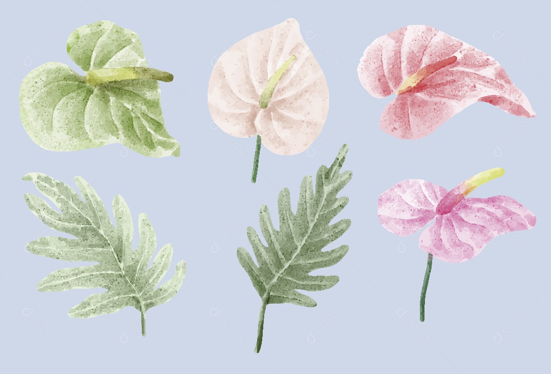 Flores e Folhas Ilustração em Aquarela Vetor EPS