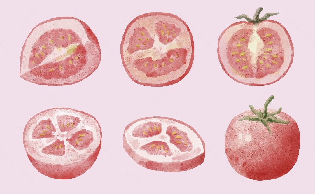 Tomate Ilustração em Aquarela Vetor EPS