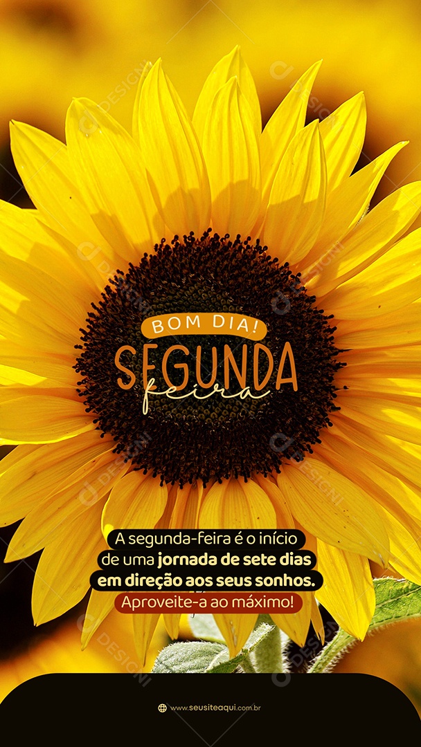 Story Bom Dia Segunda-Feira é o Inicio de uma Jornada de Sete Dias Social Media PSD Editável