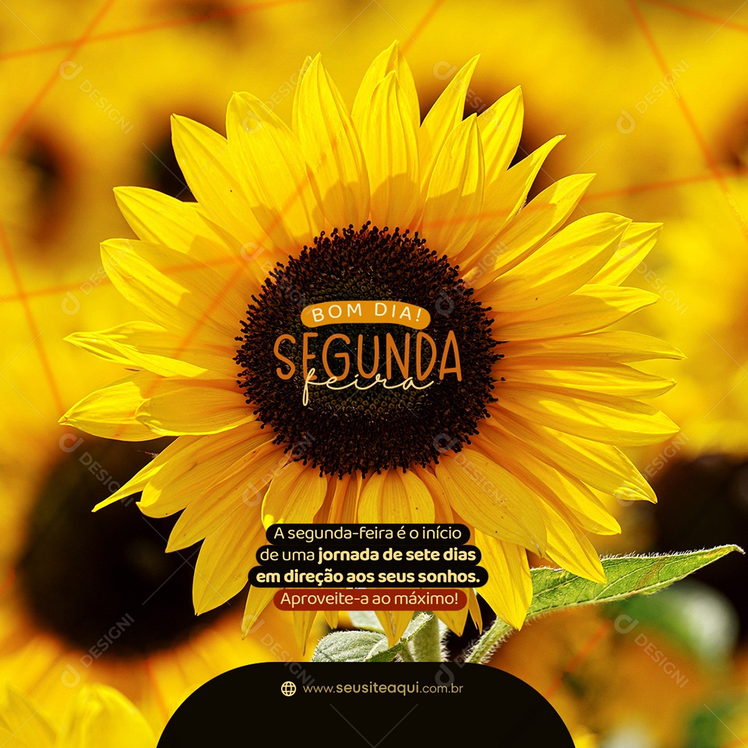 Bom Dia Segunda-Feira é o Inicio de uma Jornada de Sete Dias Social Media PSD Editável