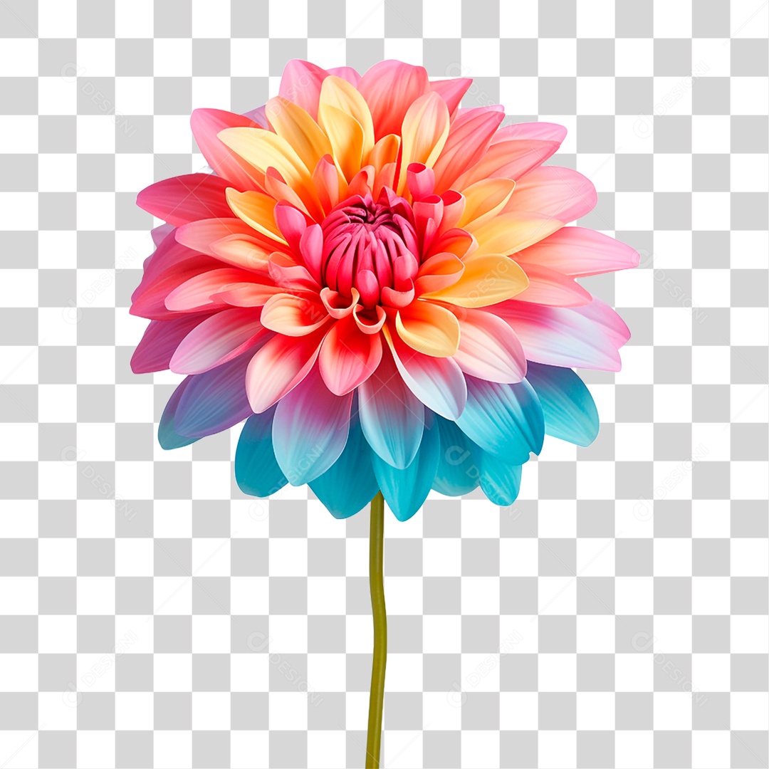 Flor Colorida PNG Transparente