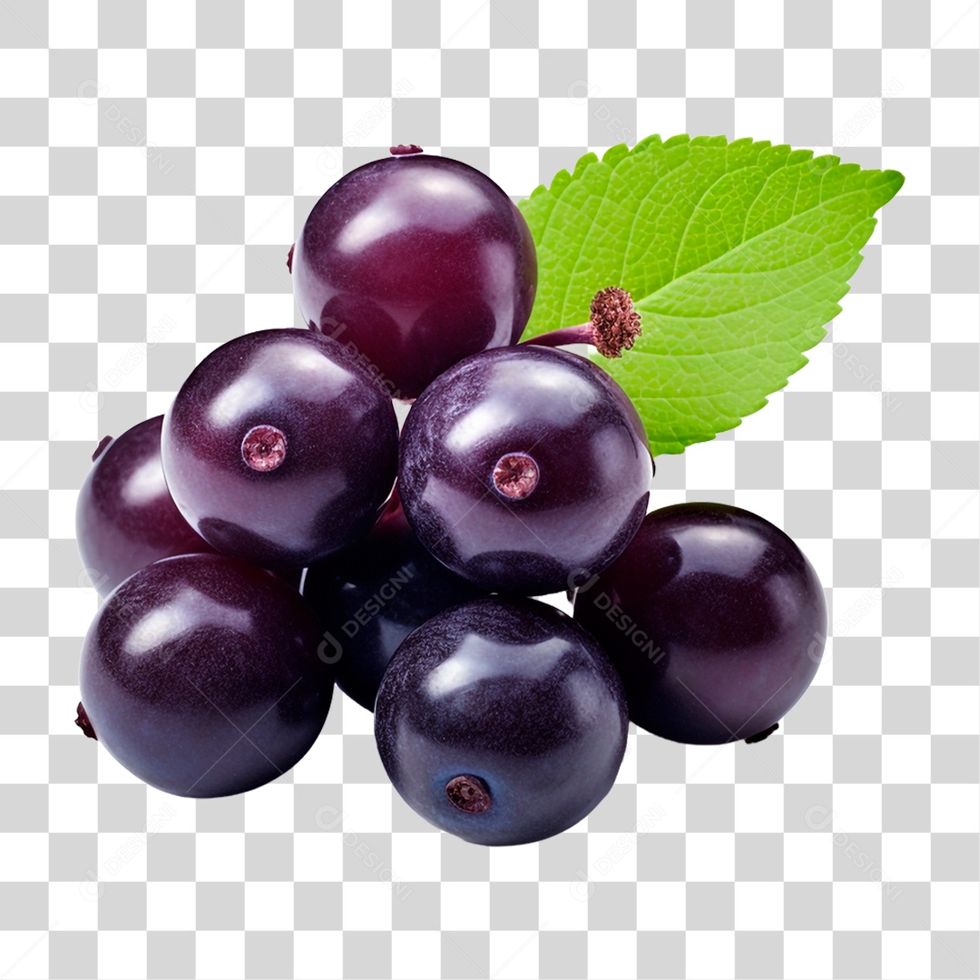 Fruta Jabuticaba PNG Transparente