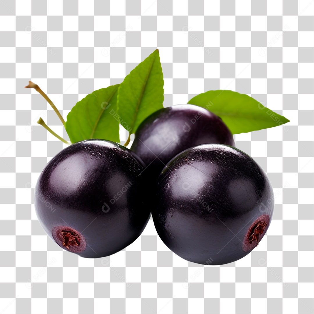Fruta Açaí PNG Transparente