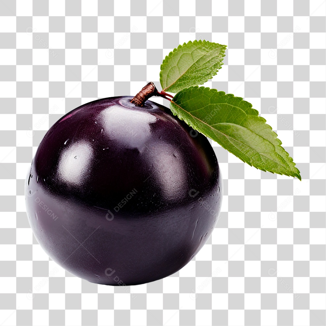 Fruta Jabuticaba PNG Transparente