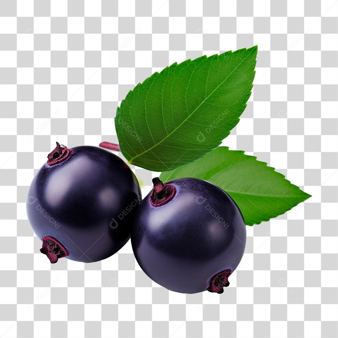Fruta Açaí PNG Transparente