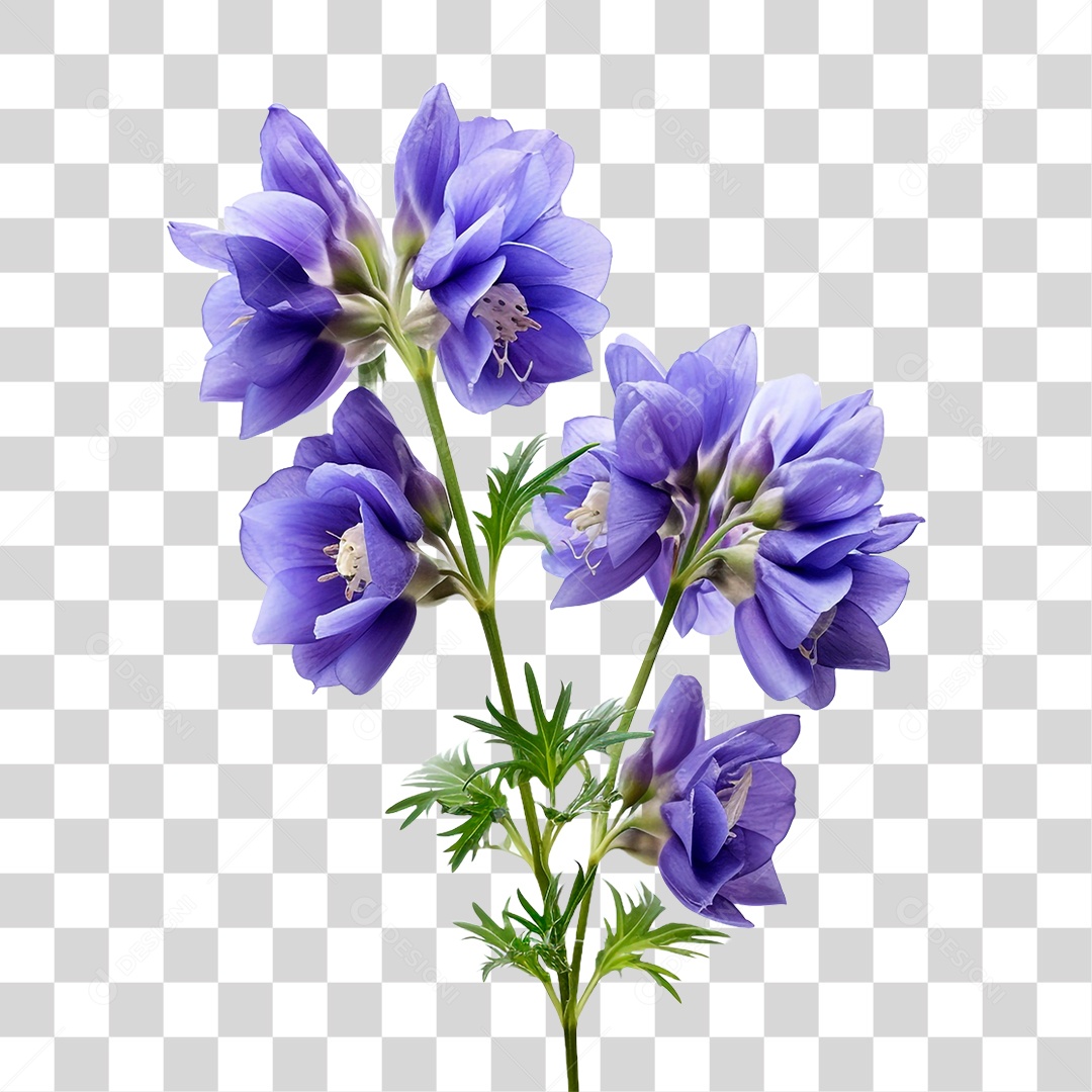 Flor de Sino PNG Transparente