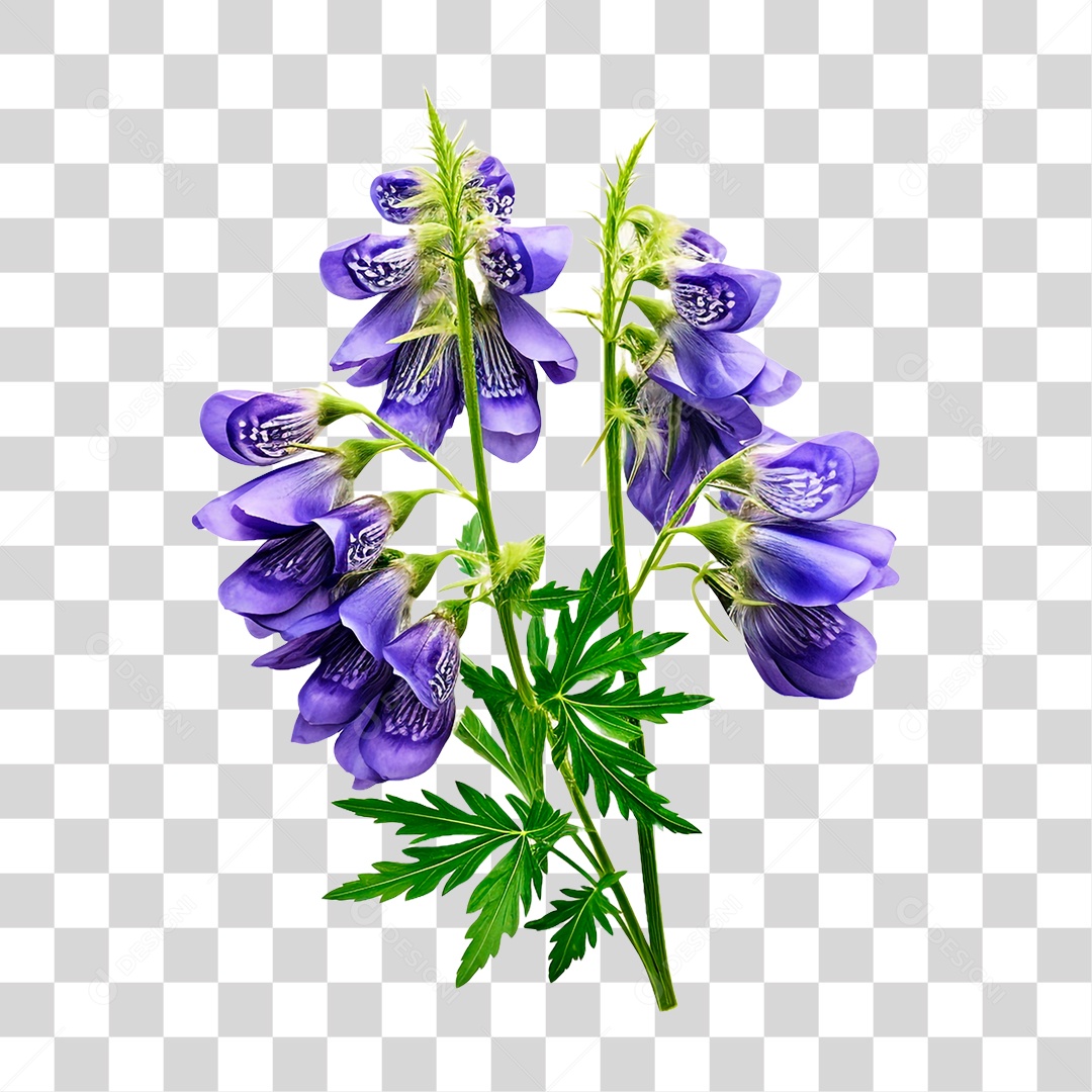 Flor de Sino PNG Transparente