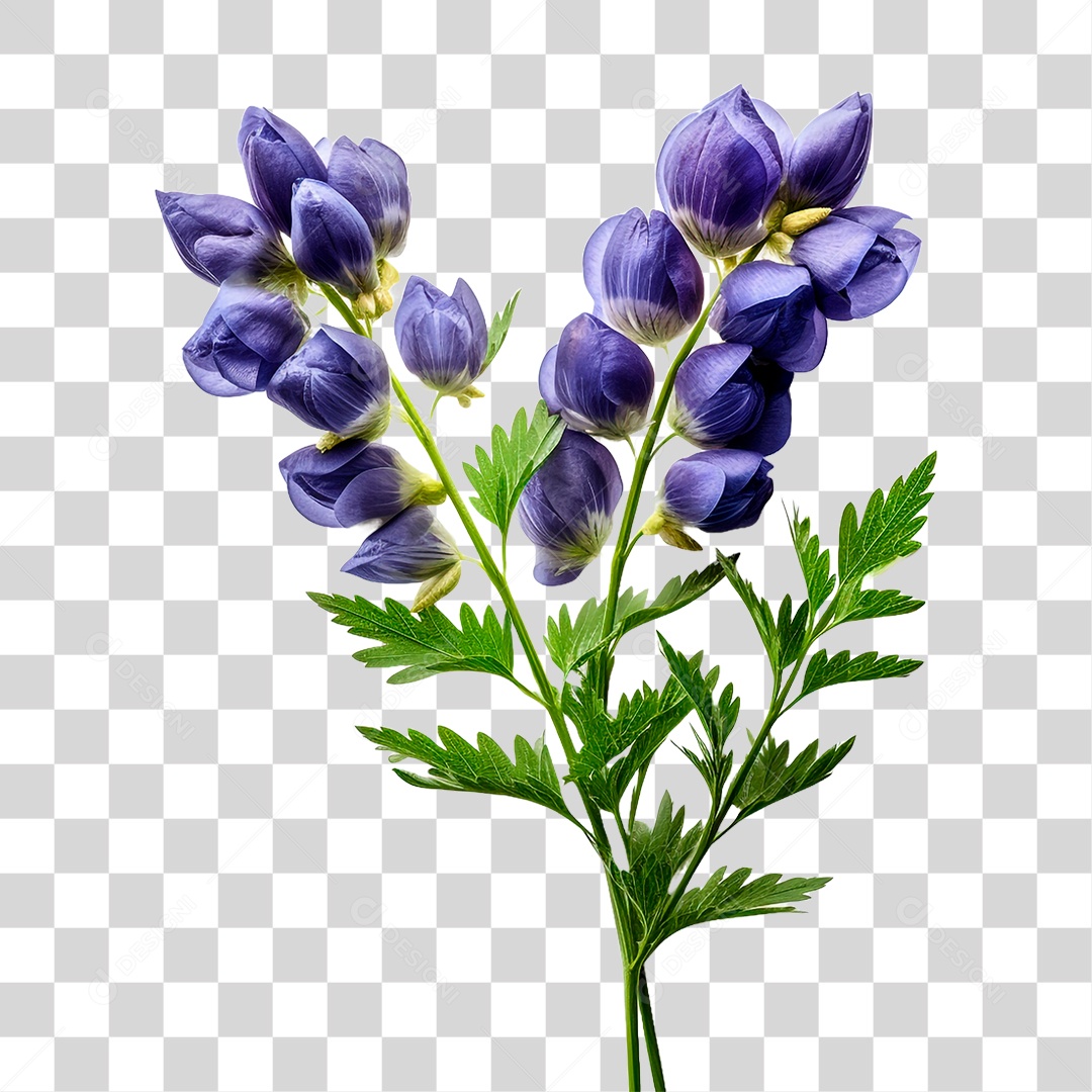 Flor de Sino PNG Transparente